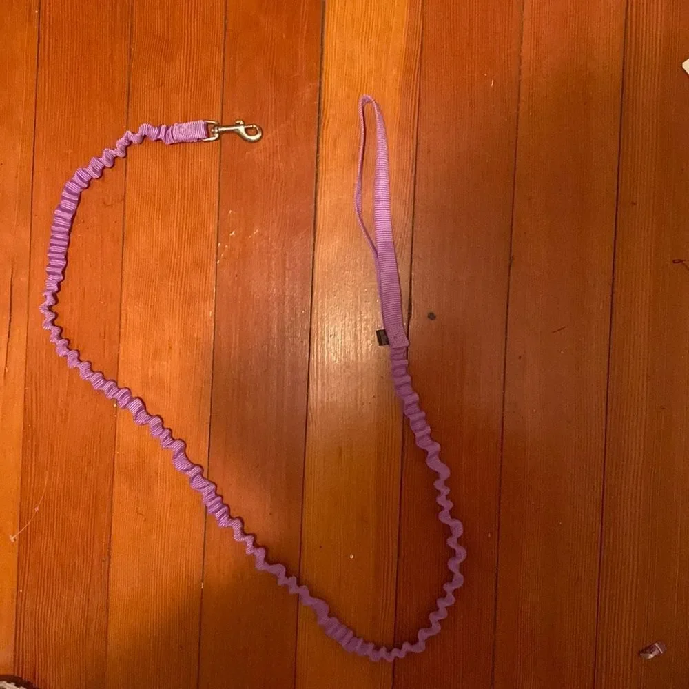 Dog Leash